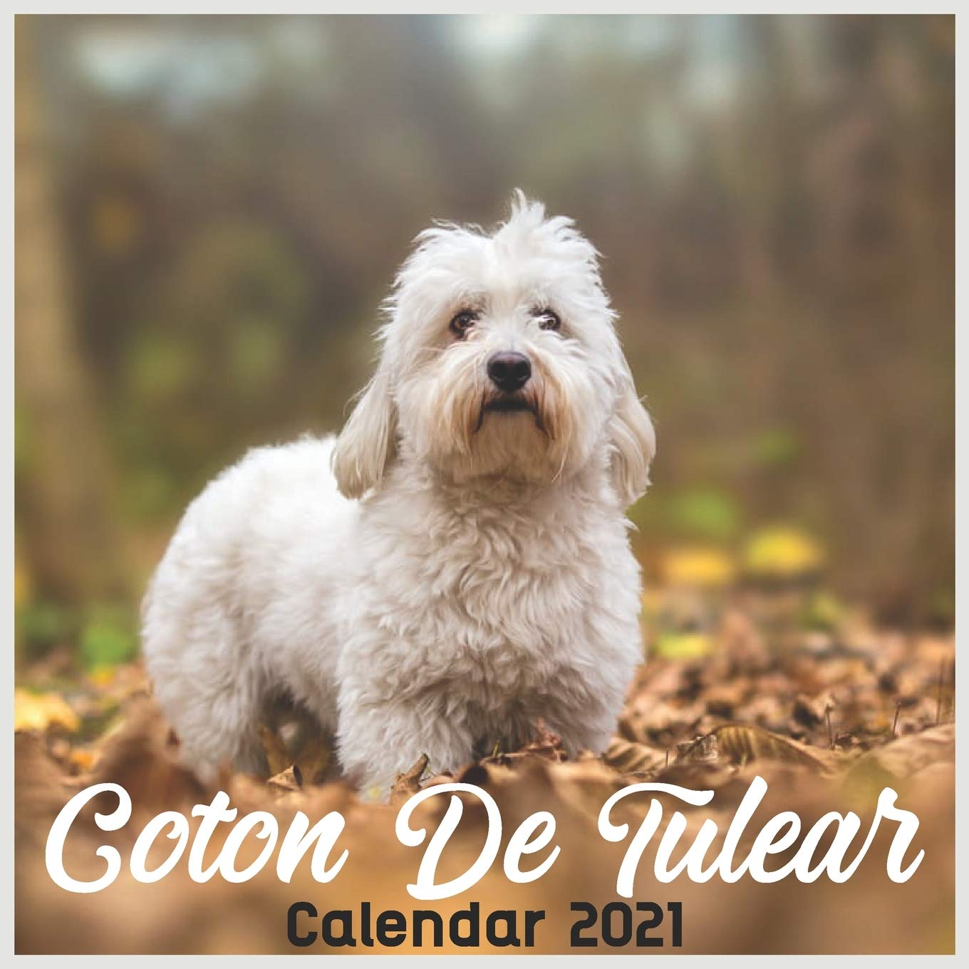 coton de tulear gift items