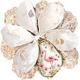 LAMIVORA 30Pcs 5-6 Inch Concave Large Oyster Shells for Crafts | Cleaned Natural Oyster Shells for Decoupage Baking Vase Filler Jewelry Dish Wedding DIY Decor Coastal Christmas Seashells Art