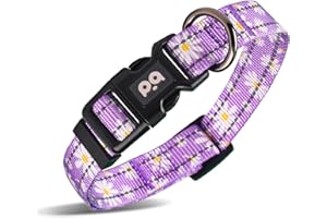 QQPETS Dog Collar Cute Flower, Reflective Adjustable Basic Collars for Girl Female Small Medium Large Dogs Walking Running(Small,Purple)