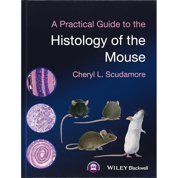 Histology of the human eye;: An atlas and textbook: Hogan, Michael