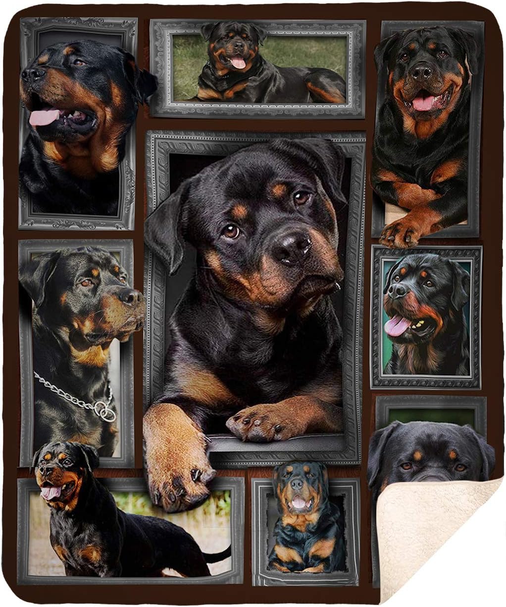 rottweiler store