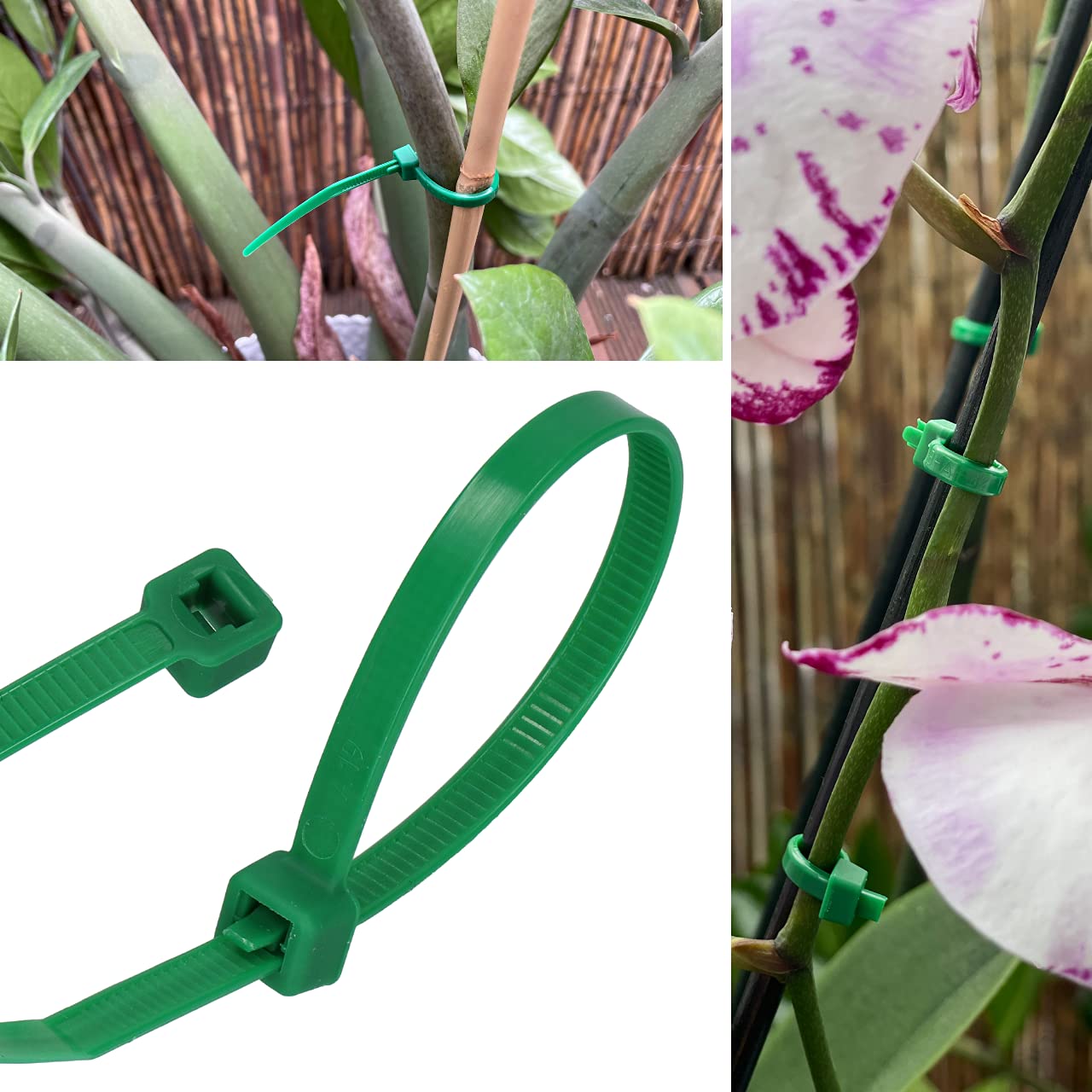 GARDENIX Plant Ties, Cable Ties, Pack of 100 (4.8 mm x 200 mm, Green), Reusable, Adjustable
