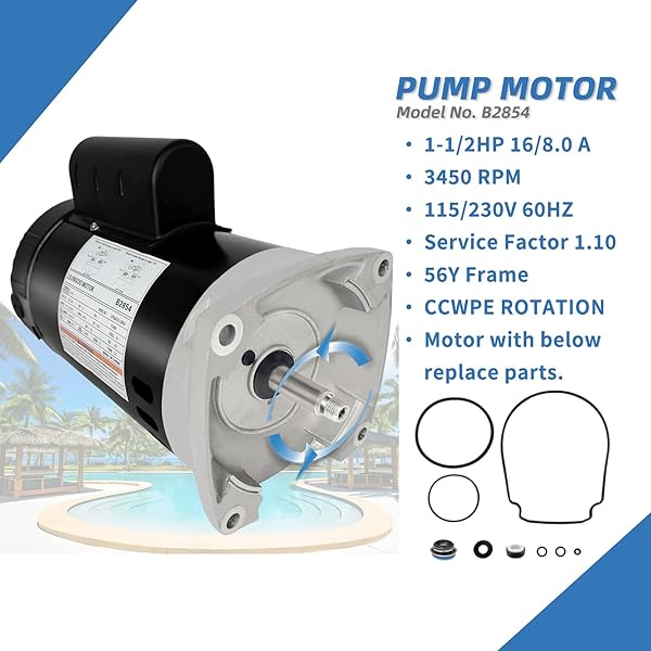B2854 1-1/2HP, REPLACES CENTURY/AO SMITH POOL PUMP MOTORS,1.5HP,115/230V, 3450 RPM, 8.0/16.0AMPS, 56Y FRAME 1.1SERVICE FACTOR,PSC,F56AA40A01,INCLUDE REPLACE PARTS, SQUARE FLANGE ODP ENCLOSURE LEUNGOO
