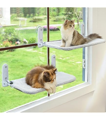 Amazon.com : Oster Sunny Seat Window-Mounted Cat Bed, 50 Pounds