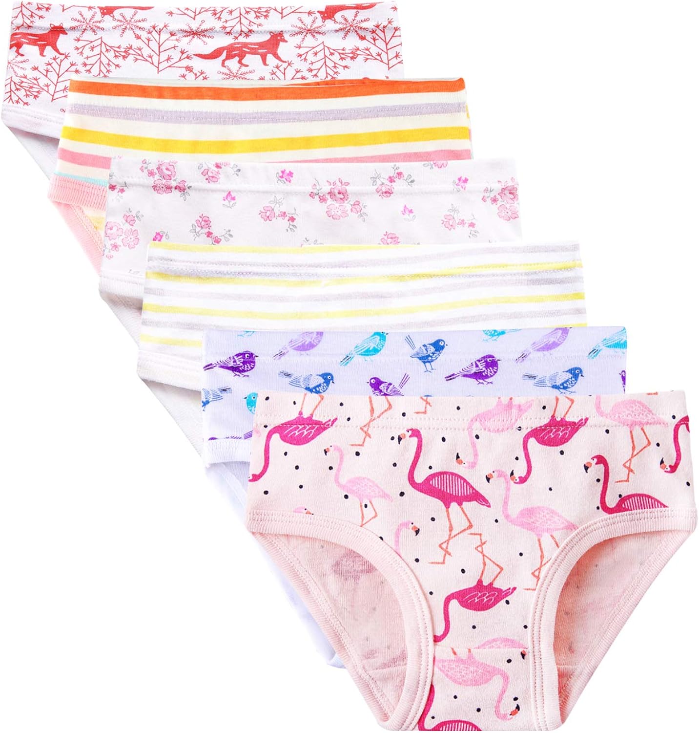 2T8T Girls Kids Series Panty Soft Cotton Briefs 6 Pack