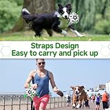 HETOO Interactive Dog Football Toy with Webbing 8 Inch Small Medium Breeds view 3