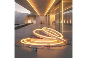 HRGXYUN 110v LED Rope Light,Dimmable 16.4ft LED Neon,Commercial Neon Strip Light Outdoor Waterproof,ETL Listed 2500K Warm White LED Neon Lights for Room,Building,Celebration