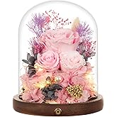 Large Preserved Flowers with Card&Box-Flowers for Delivery Prime,Eternal Rose with Lights,Roses in Glass Dome,Romantic Gift for Her,Decoration,Fresh Rose Flowers for Mom, Birthday, Anniversary (Pink)