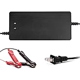 48V 10A Lithium Battery Charger 58.4V LiFePO4 Battery Charger, Battery Maintainer, Smart Charger with LED Indicator Cooling Fan for Lithium LiFePO4 Batteries