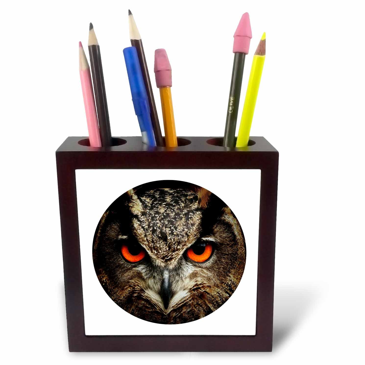 3dRose Intense Owl Close-Up Photograph Set in a Circle-Tile Pen Holder, 5-Inch (Ph_254930_1), 5 Inches