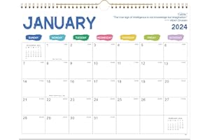 LAFEFO 2024 Calendar - 2024 Wall Calendar, 12 Monthly Wall Calendar 2024 from Jan 2024 - Dec 2024, 14.6" x 11.5", Twin-Wire Binding + Hanging Hook + Thick Paper + Julian Dates - Colorful Lump