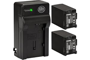 BM Premium 2-Pack of BP-828 Batteries and Battery Charger for Canon VIXIA HFG10 HFG20 HFG30 HF G40 HFM30 HFM31 HFM32 HFM300 H