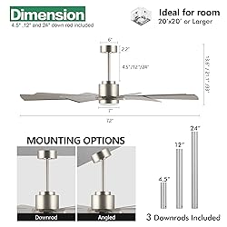 WINGBO 72" DC Ceiling Fan with Lights, Brushed