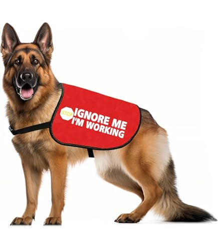 Amazon.com : JXGZSO Nervous Anxious Dog Slogan Warning Vest Do Not