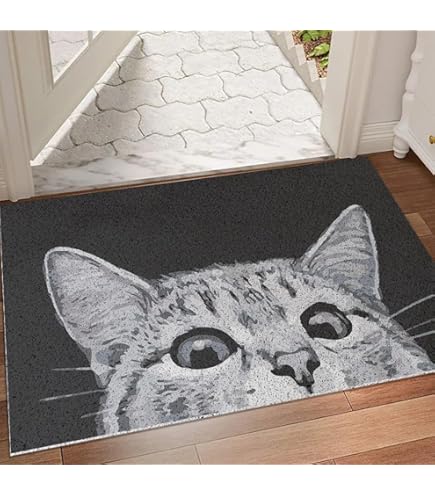Amazon.com: PuseTaer Front Door Mats There's Like A Lot of Cats in