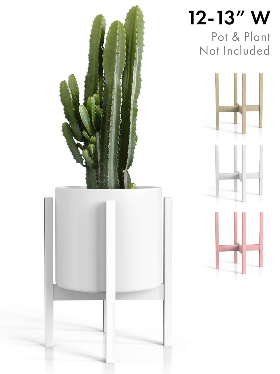 Best Indoor Blooming Plant Ladder