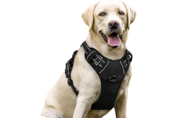 rabbitgoo Dog Harness, No-Pull Pet Harness with 2 Leash Clips, Adjustable Soft Padded Vest, Reflective No-Choke Pet Oxford Ve