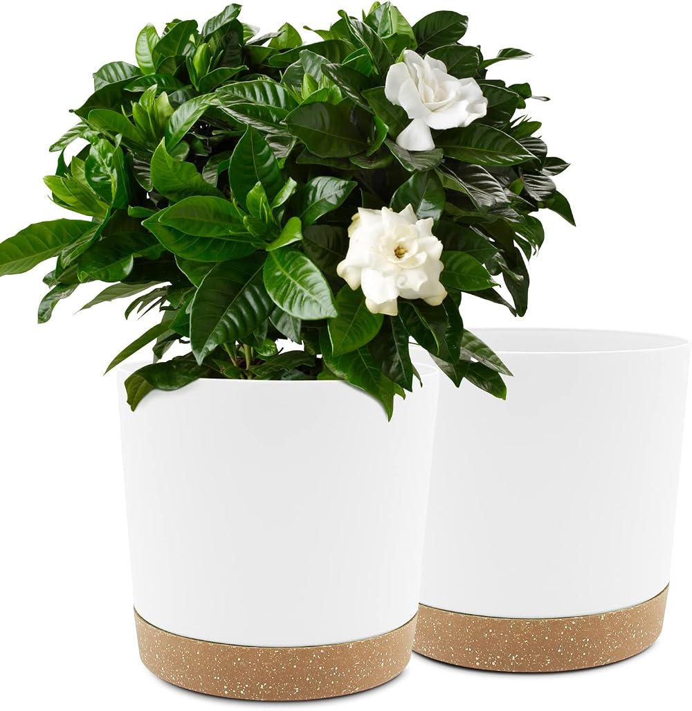 QCQHDU Plant Pot 25.4cm 2 Pack with Drainage Holes & Saucer White