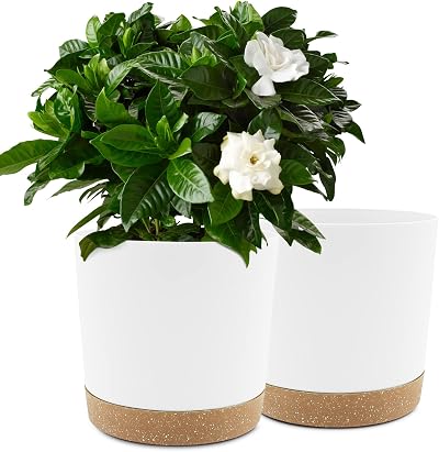 QCQHDU Plant Pot 25.4cm 2 Pack with Drainage Holes & Saucer White