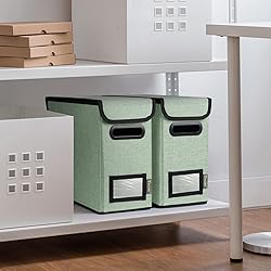 BALEINE File Organizer Box with Lid, Collapsible
