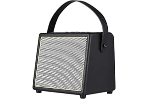 Electric Guitar Amplifier 30W with OTG BT Function Rechargeable Portable Acoustic Guitar Amp Reverb Chorus Effect REC Microph