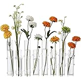 Dinyeo Hinged Flower Vase Different Heights Clear Cylinder Tiny Glass Foldable Vase Test Tube Propagation Station