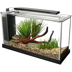 Fluval SPEC 5-Gallon Aquarium Kit with LED Lighting and 3-Stage Filtration