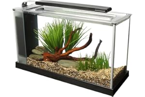 Fluval SPEC Aquarium Kit, Aquarium with LED Lighting and 3-Stage Filtration System, 5-Gallon