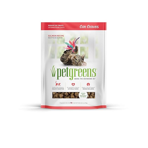 PET GREENS TREATS SAVORY SALMON SEMI-MOIST CAT TREATS 3 OUNCE (PACK OF 1)