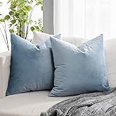 QUAFOO Light Blue Soft Velvet Throw Pillow Covers 20x20 inch Set of 2 for Sofa Couch Bed Living Room Decorative Luxury Solid Square Cushion Covers Case with Zipper