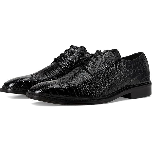 Amazon.com | Frye Men display picture 2