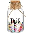 Jingmore TBR Jar Book Lover Gift to Be Read List Choose Your Next Book TBR List Reader Jar Bookish Accessories Bookworm Gift for Club Members Student Teacher Reading Accessories