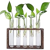 Jucoan Glass Planter Propagation Station, Wall Hanging Plant Terrarium with Wooden Stand, Glass Test Tube Flowers Bud Vase fo