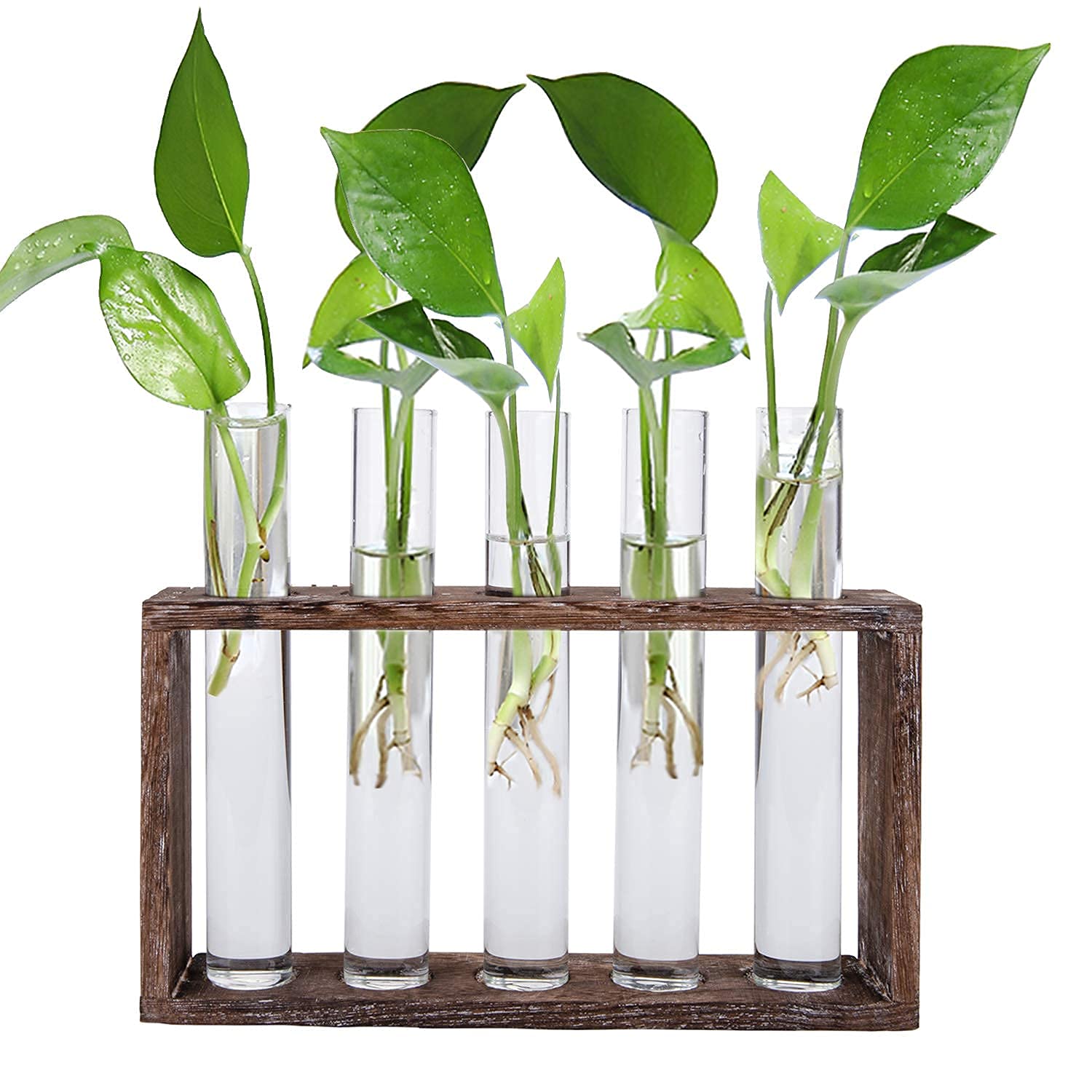 Jucoan Glass Planter Propagation Station, Wall Hanging Plant Terrarium with Wooden Stand, Glass Test Tube Flowers Bud Vase for Hydroponic Plants, Home Office Decor (6 Test Tubes &1 Brush)