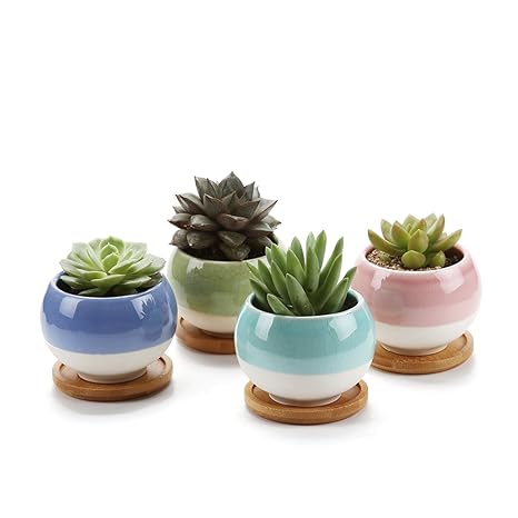 Rachel's 7.5CM 4 stücke Set Kugel Form Sets Keramik Sukkulenten Töpfe Kakteen Pflanze Topf Mini Blumentöpfe Set of 4