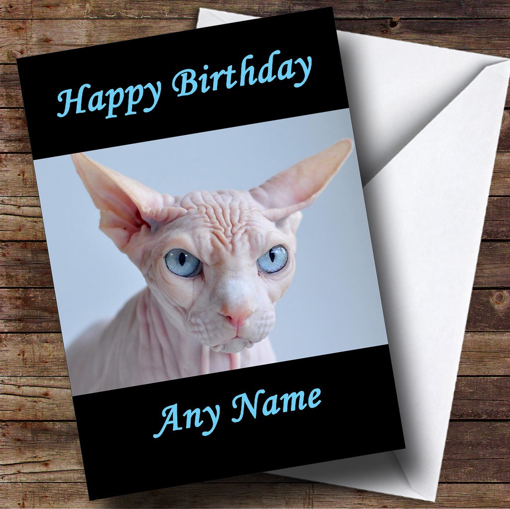 Hairless Cat Happy Birthday Best Cat Wallpaper