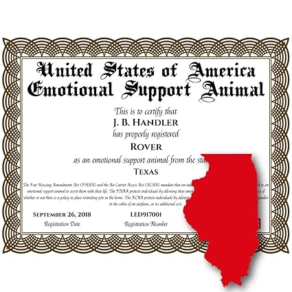 Amazon Com Illinois Emotional Support Dog Digital Printed