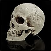 Realistic Resin Human Skull Decor – Life-Size Halloween Skeleton Head with Removable Jaw, Macabre Fake Skull Prop for Home, Office, or Haunted Display