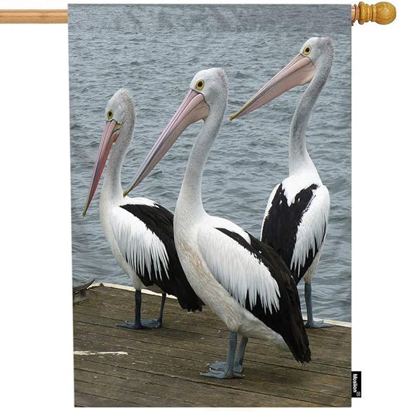 Amazon Linxin Du 冬のメンズファッションレディースジャズハットウールポリエステルfedoraの帽子教会ジャズ帽子カラフルな組紐 色 グレー サイズ 58cm 帽子 通販