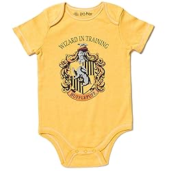 Harry Potter Gryffindor Hufflepuff Ravenclaw