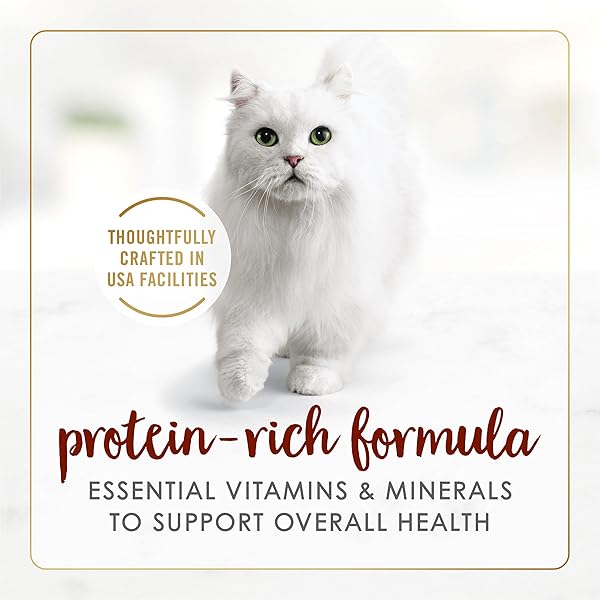 PURINA FANCY FEAST TENDER BEEF FEAST CLASSIC GRAIN FREE WET CAT FOOD PATE – (PACK OF 24) 3 OZ. CANS