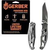 Gerber Gear Paraframe Mini Pocket Knife, 2.2" Fine Edge Small EDC Folding Knife with Safety Lock for Everyday Carry, Gifts for Men, Stainless Steel