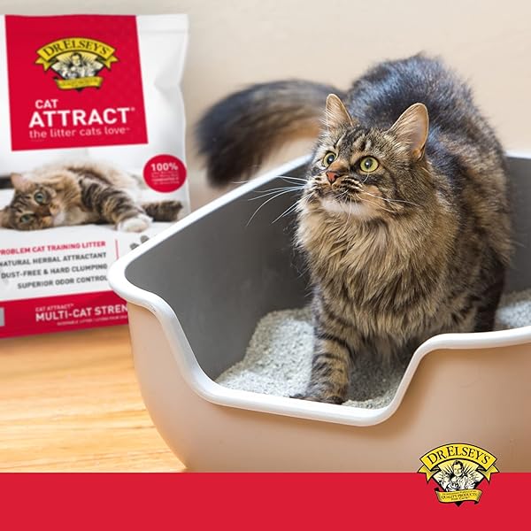 DR. ELSEY’S® CAT ATTRACT® CLUMPING CLAY CAT LITTER 18-LB. BAG