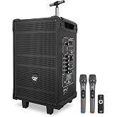 Pyle 10'' Portable Wireless Bluetooth Speaker System - Built-in Rechargeable Battery, Wireless Microphone, USB/Micro SD/FM - 600 Watt FM Radio with Digital LED Display, PWMA1099A,Black