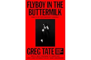Flyboy in the Buttermilk: Essays on Contemporary America