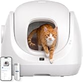 CATLINK Self-Cleaning Cat Litter Box 7.8" Low Entry for Senior Cats, White | Always Keep Open Exit, Multi-Cat Health Tracking, APP Control, 8 Levels Safety Design, Quiet Operation, Easy to Use