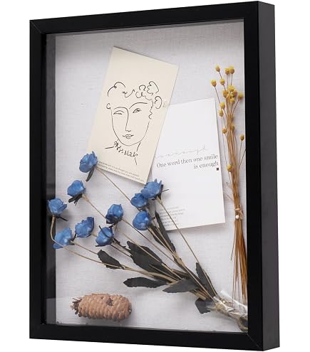 Amazon.com - Studio Decor Black Adjustable-Depth 16” x 20