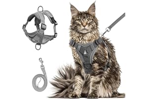 Wanheart Summer cat Chest Harness and Leash, Anti-Escape Adjustable Soft mesh cat Leash and Chest Harness Set for All Types of Cats cat Vests (Grey, XL:16.5-22.04lb)