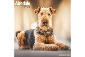 Airedale Calendar - Airedale Terrier Calendar - Dog Breed Calendars - 2023 - 2024 wall calendars - 16 Month by Avonside