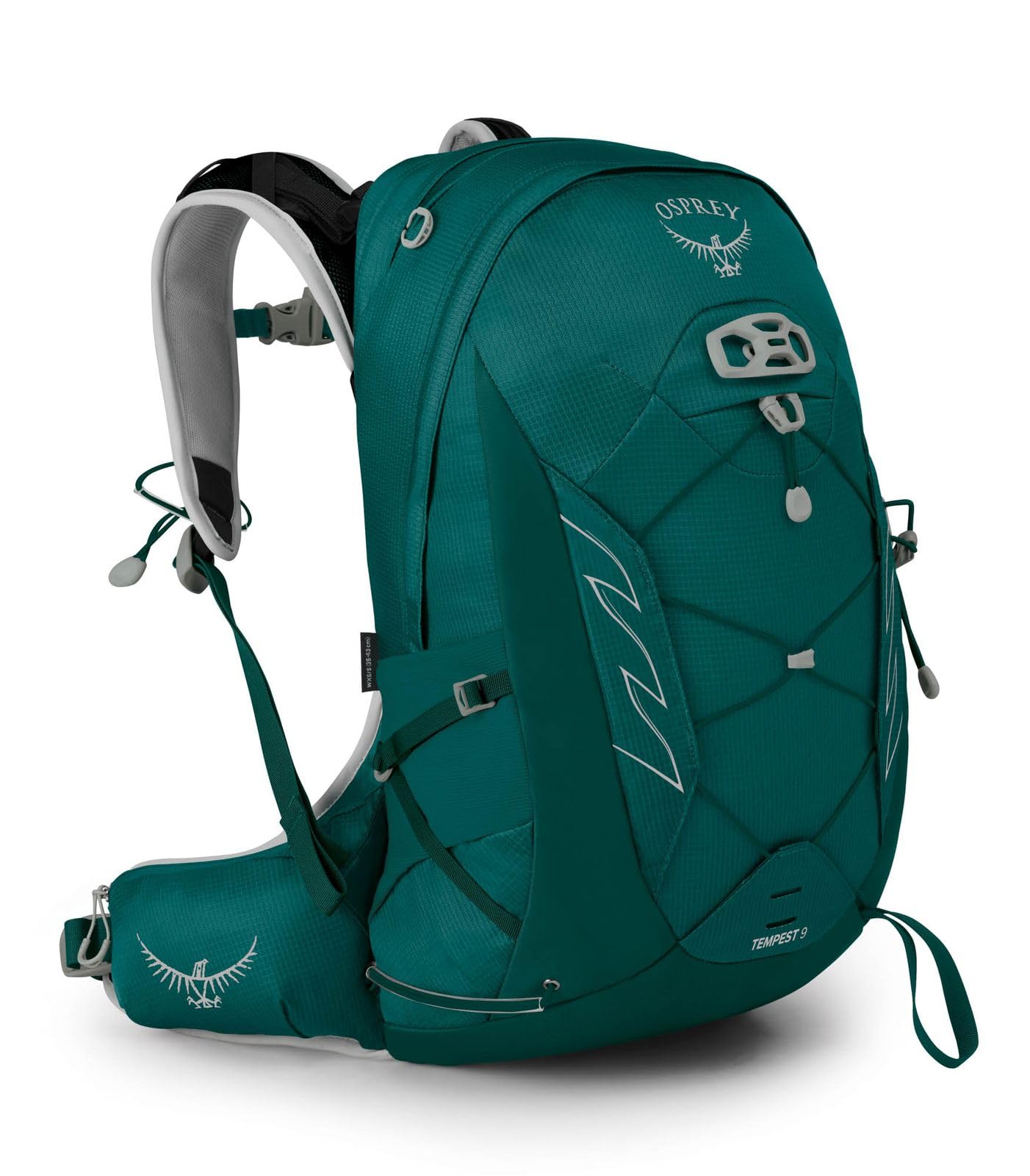 Osprey Europe Tempest 9 Women's Hiking Pack Jasper Green - WM/L — image 1